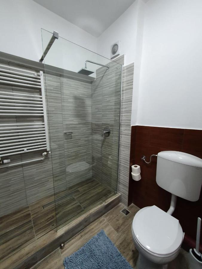 Petrosani Camere De Inchiriat - Hotel Petroshani Srl ภายนอก รูปภาพ
