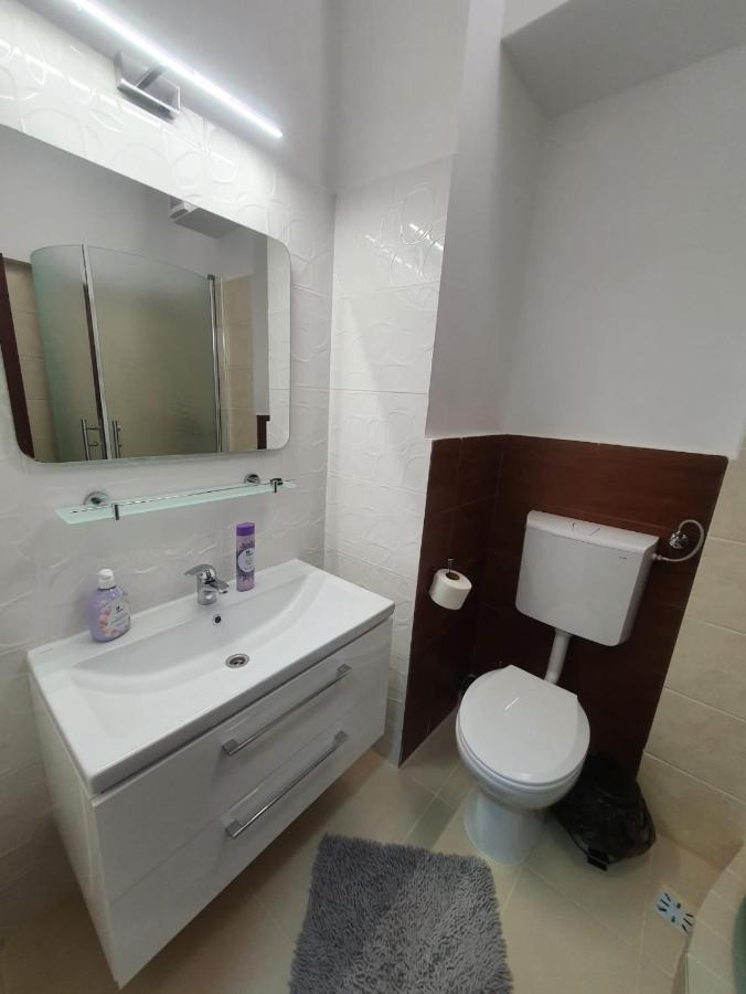 Petrosani Camere De Inchiriat - Hotel Petroshani Srl ภายนอก รูปภาพ